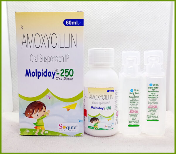 MOLPIDAY-250 DRY SYRUP